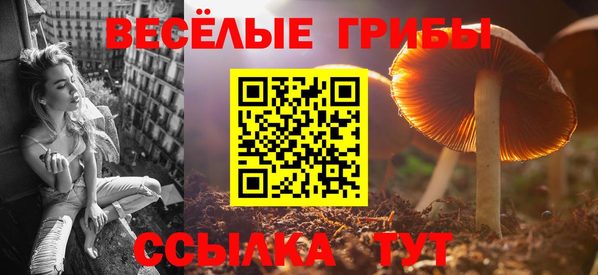 Псилоцибиновые грибы Cubensis  Вход с VPN  Котлас  Галлюциногенные грибы GOLDEN TEACHER 